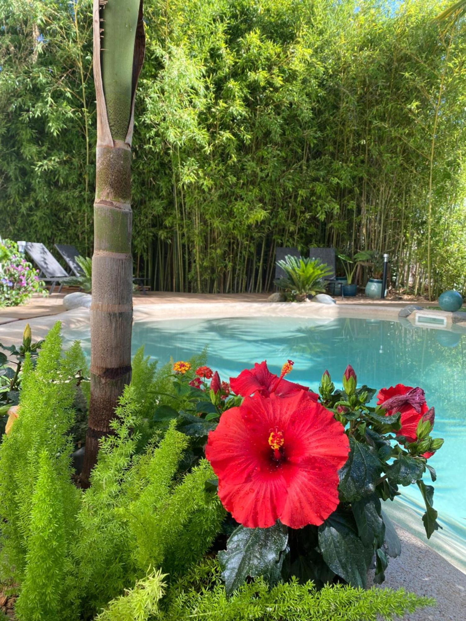 Appt Ambiance Chalet 2Ch Piscine Lagon Διαμέρισμα Ταρμπ Εξωτερικό φωτογραφία
